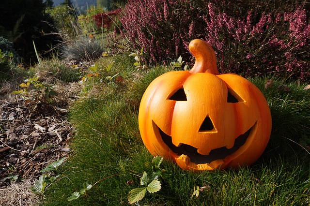 アメリカ西海岸のハロウィーン